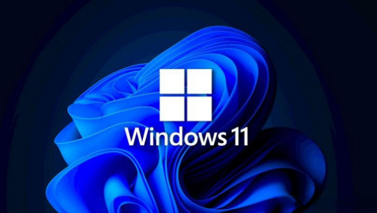 微软Windows 11 24H2免TPM版