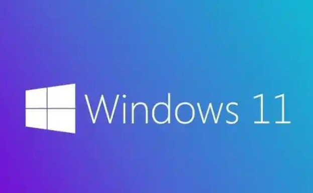 微软Windows 11精简版