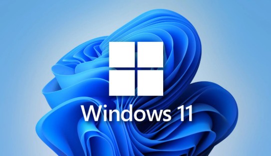 Windows11 23H2 64位专业版