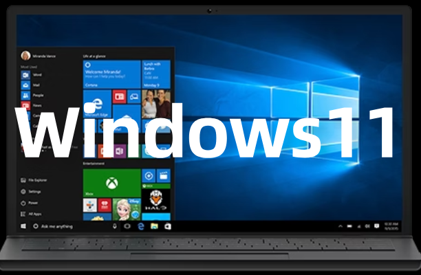 微软Windows 11官方正式版(24H2)
