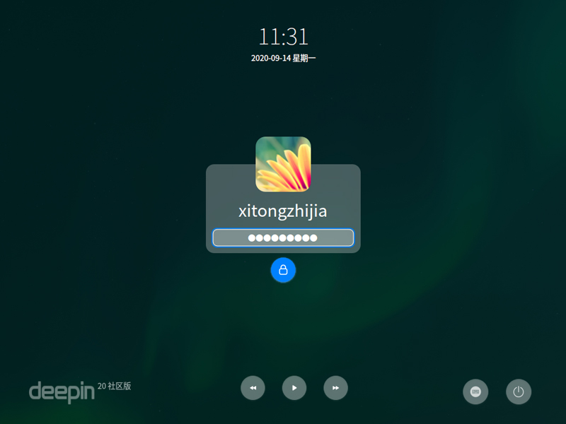 Deepin Linux 20 正式版 (64位)