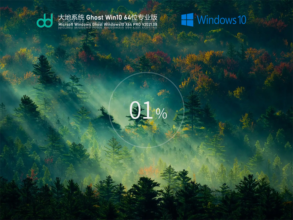 大地Windows10 64位 专业版镜像 V2021.08