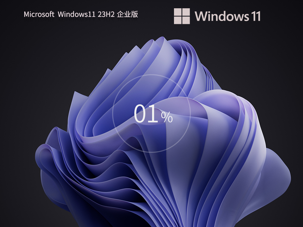【最安全的 Windows】Windows11 23H2 64位 最新企业版