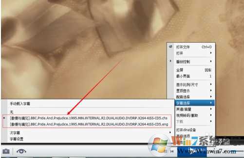 srt是什么文件？srt文件怎么打开,srt文件怎么用