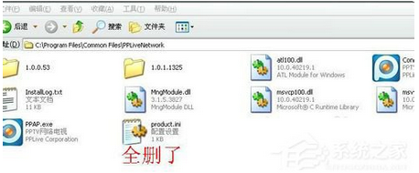 ppap.exe是什么进程？可以删除吗？如何删除ppap.exe进程？