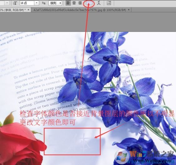 Win7ps输入文字不显示的解决方法