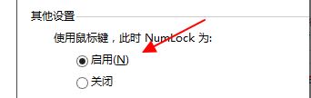 启用小数字键盘代替鼠标