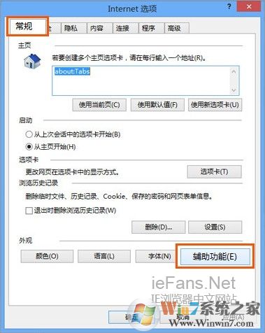 IE 辅助功能