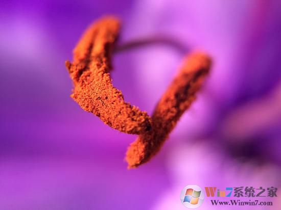 如何正确的使用手机拍照 手机拍照技巧