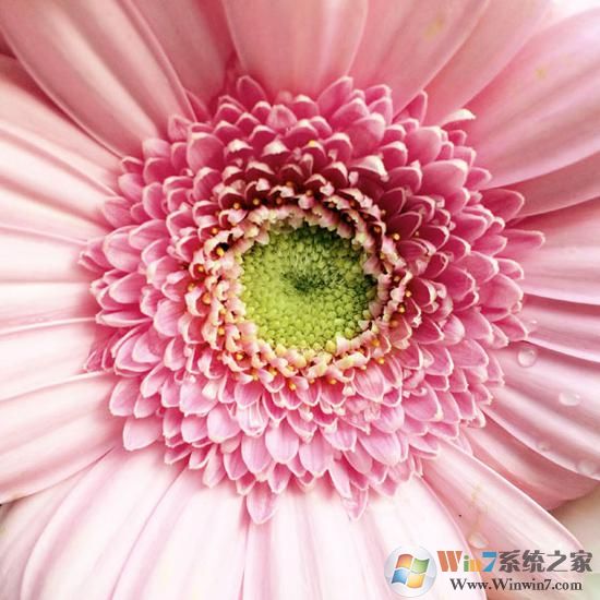 如何正确的使用手机拍照 手机拍照技巧