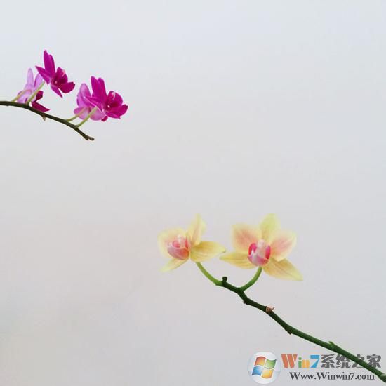 如何正确的使用手机拍照 手机拍照技巧