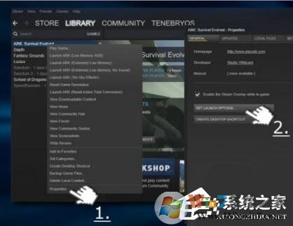 Win10玩生存进化报错“视频驱动程序崩溃并被重置”怎么解决？