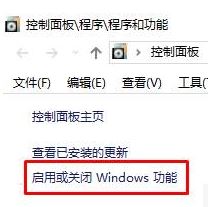 win10无主之地打不开提示general protection fault 的修复方法