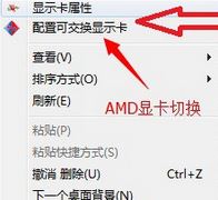 双显卡电脑Win10如何设置只使用独显？