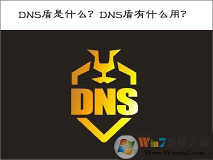DNS盾是什么？DNS盾有什么作用？DNS盾怎么用？