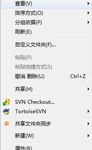 svn怎么用?svn使用教程（图文）