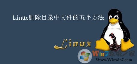 linux如何删除文件？linux删除文件夹的五个方法