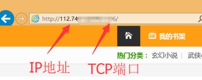 为什么输入ip不能打开网站？如何用ip打开网站？