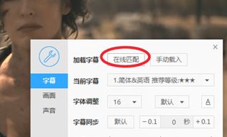字幕文件怎么用？小编教你电影字幕的使用方法