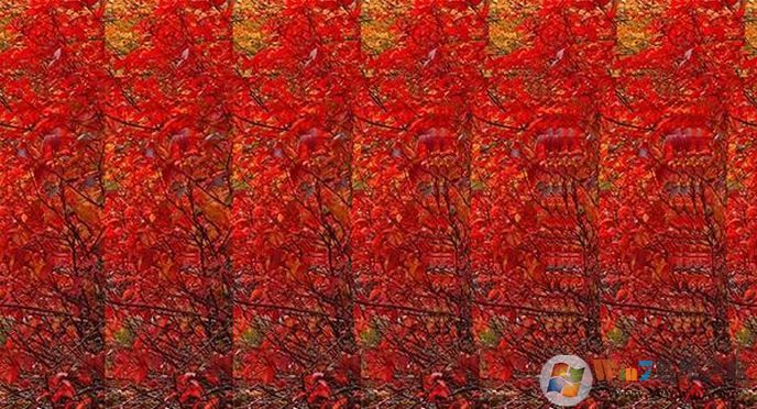 三维立体图怎么看?小编教你三维立体图是怎样的
