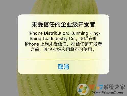 ios11描述文件怎么验证？