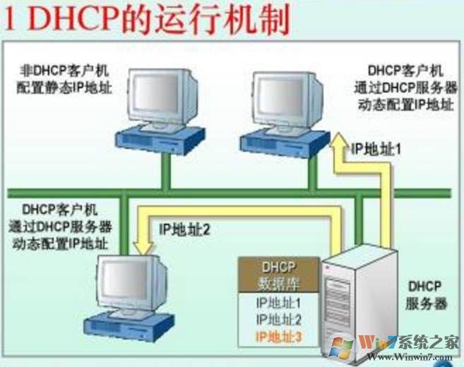 路由器里的DHCP服务器是什么？要设置启用还是关闭？