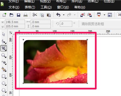 cdr裁剪工具怎么用？cdr软件中裁剪工具使用方法