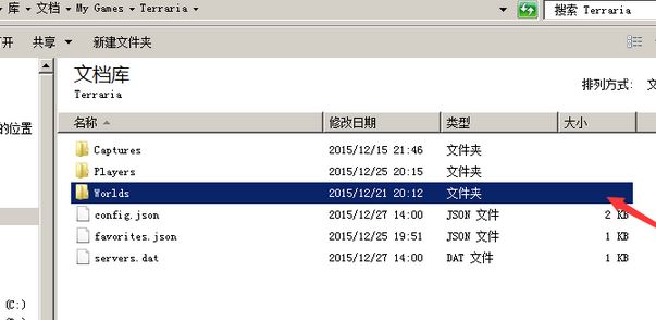 泰拉瑞亚存档怎么用？泰拉瑞亚电脑版游戏存档使用方法