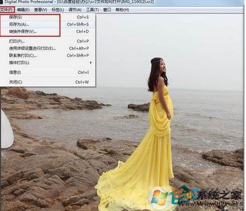 cr2是什么格式？cr2文件怎么打开？
