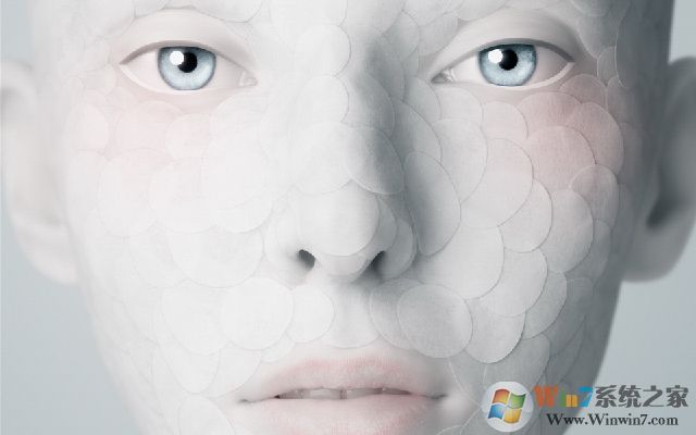 camera raw插件怎么删除？教你删除ps中camera raw插件的方法