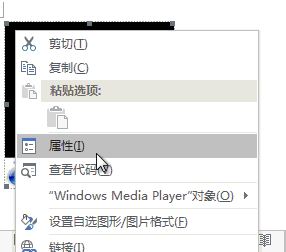 word怎么插入视频？教你word添加Flash、网络视频的方法
