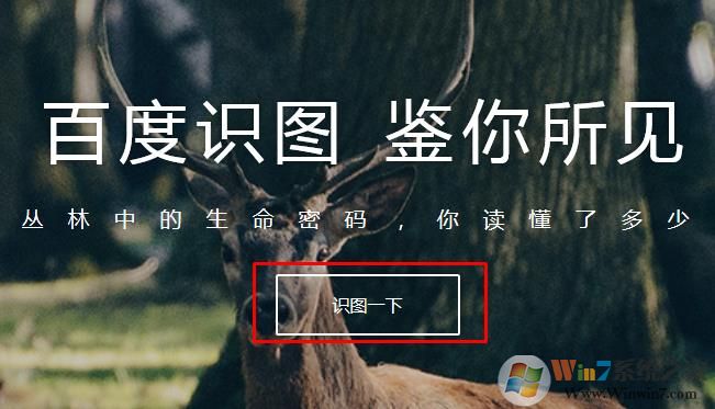 使用百度识图辨别照片真伪或找相似图片
