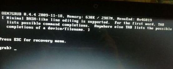 win10无法开机 提示：Press esc for recovery menu 解决方法
