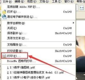 PDF格式怎么打印？pdf文件快速打印的操作方法