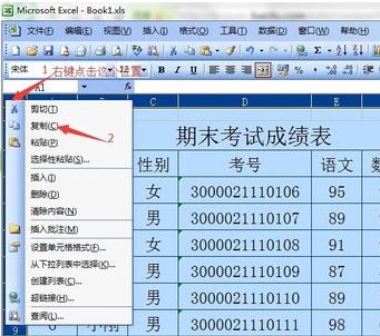 excel表格怎么复制一列？教你Excel复制一列的操作方法