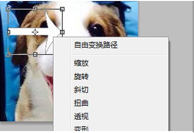 PS旋转图片,PS怎么旋转图片、图层？