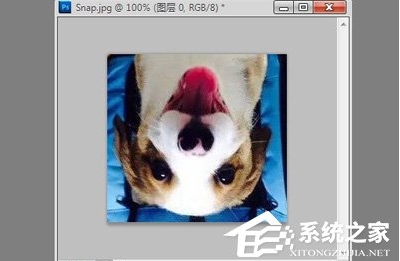 ps怎么旋转图片？Photoshop旋转图片教程