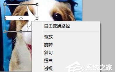 ps怎么旋转图片？Photoshop旋转图片教程