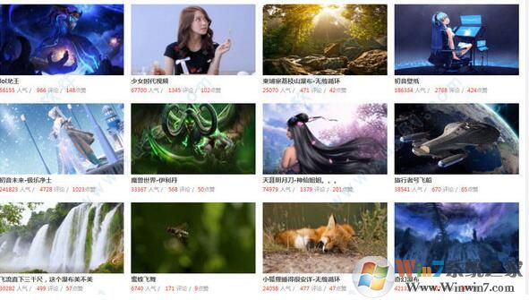 火萤视频桌面怎么用？教你火萤动态壁纸设置方法