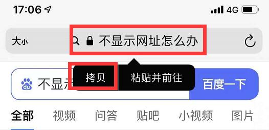 苹果手机/iPad无法复制浏览器网址的解决方法