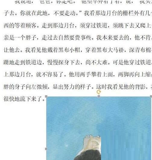 Word怎样插入图片自由放置？Word插入图片自由放置的操作方法