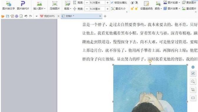 Word怎样插入图片自由放置？Word插入图片自由放置的操作方法