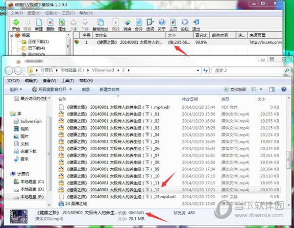 维棠FLV视频下载软件