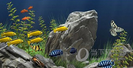 梦幻水族馆屏保