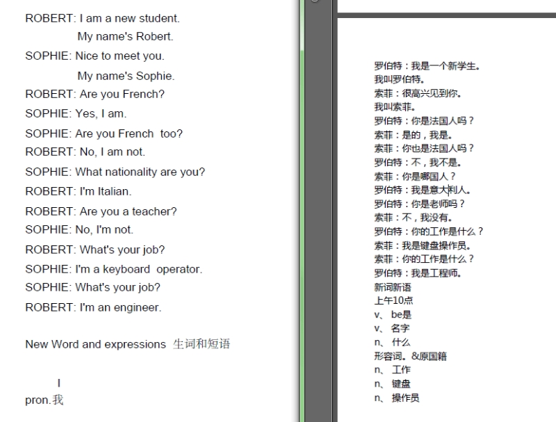 PDF翻译成中文软件