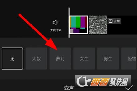 电脑变声器软件免费版