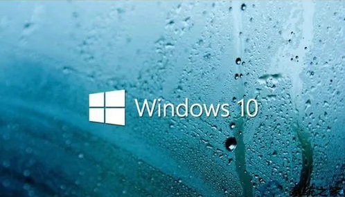 Win10 64位 专业版 v2023.05