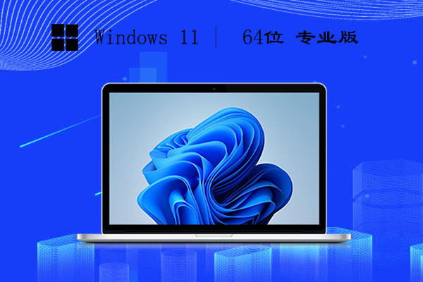 Windows11 64位 专业版 v2023.05