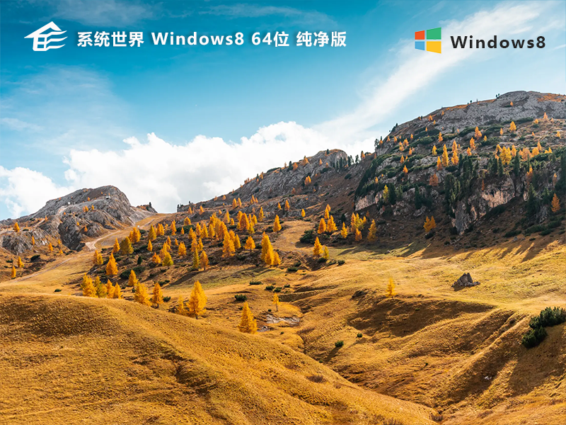 系统世界win8系统 64位纯净版