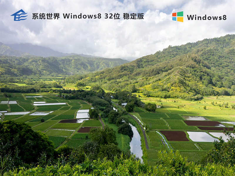 Windows8.1 32位 稳定版v2023.11